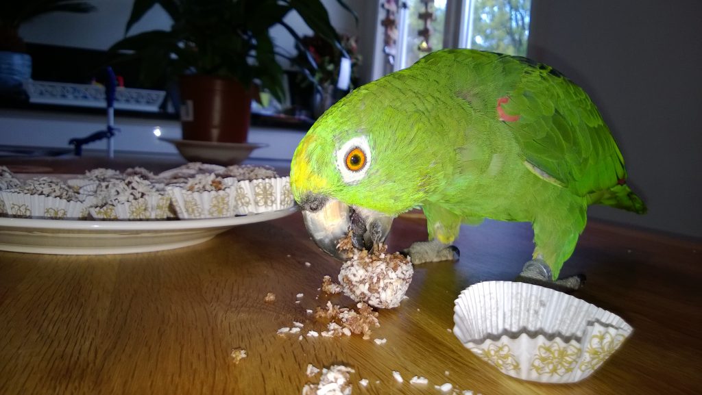 Yummy! Somebody baked just for me!